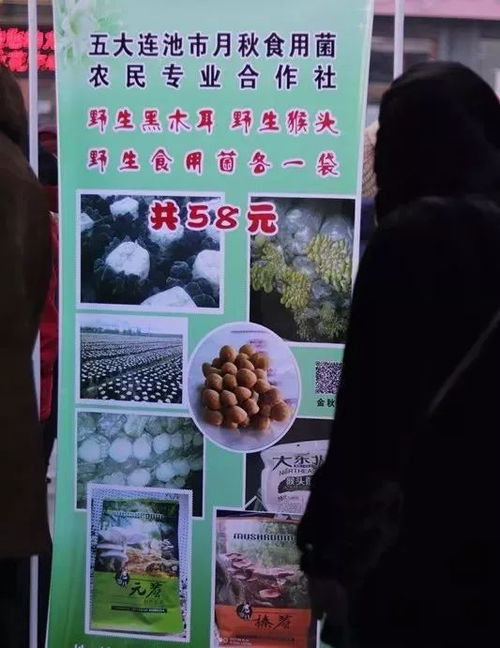 五大连池市首届年货大集盛大开幕，豆制品销售火爆